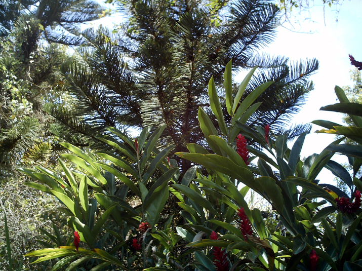 28 - Jardin des eaux 031.jpg